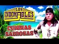 Los Indomables - 20 Exitos Cumbias y Exitos (Album Completo)