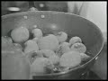 Coq Au Vin | The French Chef Season 2 | Julia Child