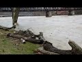 Drought 2024 vs High Waters 2020 - Muskingum River