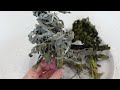 How to Dry Herbs Using an Air Fryer 🌿 Simple Quick Method to Preserve Herbs