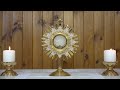 Adoración al Santísimo en vivo / Live Adoration of the Blessed Sacrament.