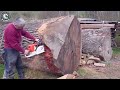 199 Incredible Fastest Big Chainsaw Cutting Tree Machines ▶10