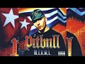 Pitbull Featuring Lil Jon - 305 Anthem [Instrumental]