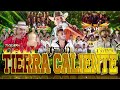 Los Remis, Tierra Cali, Gerardo Diaz, La Leyenda - Puros Corridos Mix - Tierra Caliente Mix 2023