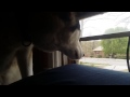 Husky Whining and Talking