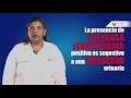 Examen general de orina | Explicado por la Q. C. Laura Patricia Morales Pérez