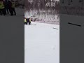 WanLong ski resort employees attacking skiers