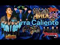 Puro Tierra Caliente 12 Mix 2024 🔥 Tierra Cali / La Dinastia / Gerardo Díaz 💥 Los Mejores Exitos