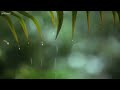 You & Me  Relaxing Piano Music & Soft Rain Sounds For Sleep & Relaxation