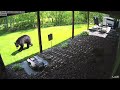 Bear visiting our house on May 24th, 2024