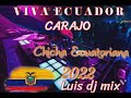 CHICHITA 100% BAILABLE  ❤🎶 !! LUIS DJ MIX ¡¡