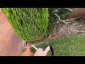 Lawn Mowing Thick Grass with TORO - Lawn Care with Line Trimming and Blowing.