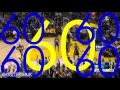 Golden State Warriors Best Play Highlights | 16/17 Season | First 41 Games