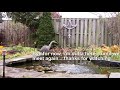 Great Blue Heron vs Electric Fencing