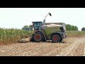 Trinciatura Mais - Corn Silage - #21 con CLAAS Jaguar 990 + 2 John Deere 6130R con rimorchi Zaccaria