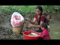 How to harvest wild fish from puddles to sell at the market - cook with your children