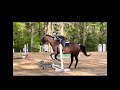 Ignore my eq!#fypシ #equestrian #viral #trending #equestrianrider #barn