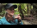 Exploring a Hidden Gully for Gold! (Turton's Creek, Victoria)