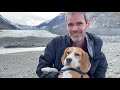 Cute beagle goes canoeing for first time