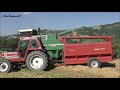 TREBBIATURA ORZO OLD STYLE ALL'ITALIANA 🇮🇹 | ARBOS 400AL SUPER + FIATAGRI 85-90 DT Turbo | F.lli PIO