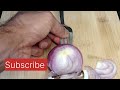 ONION CUTTING NEW IDEAS FOR COOKING