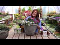 Flower Alley Part 2: Simple Container Ideas for Full Sun! ☀️💚// Garden Answer