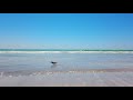 Beach Waves and Wind - 5 hours - 4K UHD - Relaxation