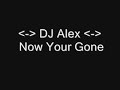 DJ Alex Now Your Gone