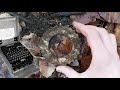 Forgotten WW2 Forest - Everything still there  [WW2 Metal Detecting]