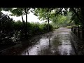 Soft sound of rain for deep sleep | Insomnia, recharging mind and body | Perfect rain sound ASMR