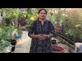 🌱Making Kitchen waste compost in water bottles and juice bottles 🌱  #radhikaOrganicTerraceGarden