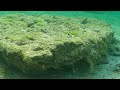 Nangaramoan beach underwater