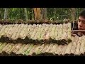 Building a Survival Shelter in a Forest - Campfood from natural herbs #nature #food #viral #forest