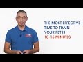 HOW TO USE THE ULTRASONIC DOG TRAINER CORRECTLY