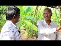 ఈ ఆహారపు అడవితో నిత్యం ఆదాయం || 37 Cents Land with 400 Fruits and Vegetable Crops || Karshaka Mitra