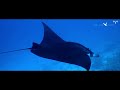 Aldabra Expedition 2022 | Oceans & Skies