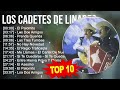 Cardenales De Nuevo León Nuevo 2023 Mix - 10 Grandes Exitos Puros Corridos Mix