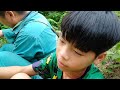 The orphan boy went into the forest to cut wood and met an injured person