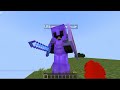 Why this Minecraft smp thinks I am Weak....