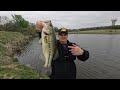 Spring Bass Fishing a NEW POND! (Fishing April in Fort Worth, Texas)