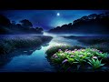 Relaxing Music with Bird & Water Sounds to Calm The Mind🧘‍♀️Meditation🌿Music to Sleep, Soul & Body