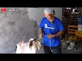 DIHINA & DIBULLY KARNA KURBAN HANYA ANAKAN KAMBING, PADAHAL IA PENGKURBAN SAPI TERBESAR DISITU ‼️