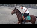 polo match in chitral- garum ghal