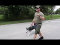 STOP Leash Pulling with ANY BREED Right NOW!  SO EASY!