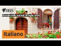 Giornale radio martedì 30 luglio 2024 | SBS Italian - SBS in Italiano
