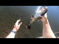 Fishing for Calico Cats aka Brown Bullheads in Ocala at Ocala Nature Park