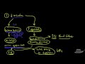 Diabetic Ketoacidosis (DKA) Explained Clearly Remastered - DKA Pathophysiology