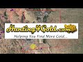 Where Is Gold Found In New Mexico?