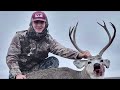 Deer hunt 300 yard shot. Buck collapses