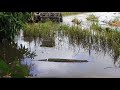 Homemade tractor shoveling wetlands